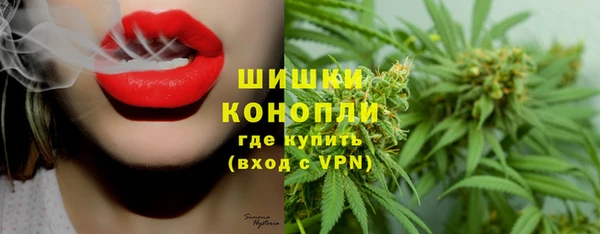 стафф Гусь-Хрустальный