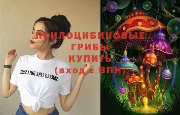 стафф Гусь-Хрустальный
