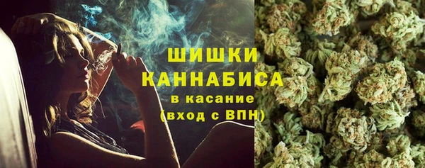 ПСИЛОЦИБИНОВЫЕ ГРИБЫ Гусиноозёрск