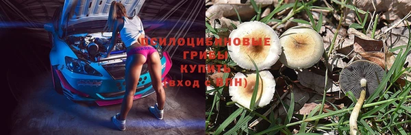 стафф Гусь-Хрустальный