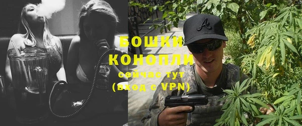 ПСИЛОЦИБИНОВЫЕ ГРИБЫ Гусиноозёрск