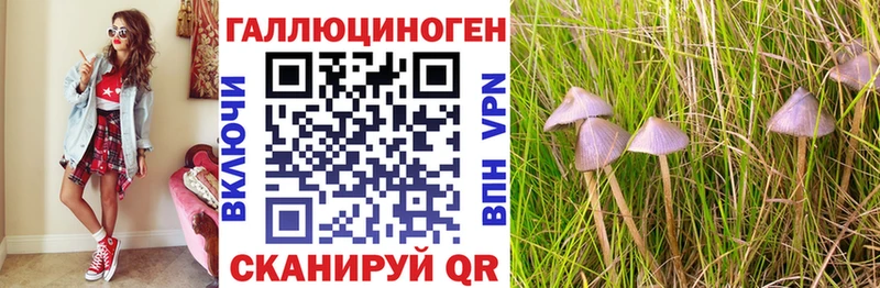 Псилоцибиновые грибы GOLDEN TEACHER  Купить  Боровичи 
